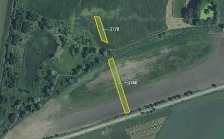 Prodej pole 5 778 m², Starovičky, okres Břeclav