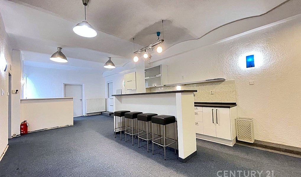 Pronájem komerčního objektu (jiného typu) 740 m², Jesenice – náhled fotky 5