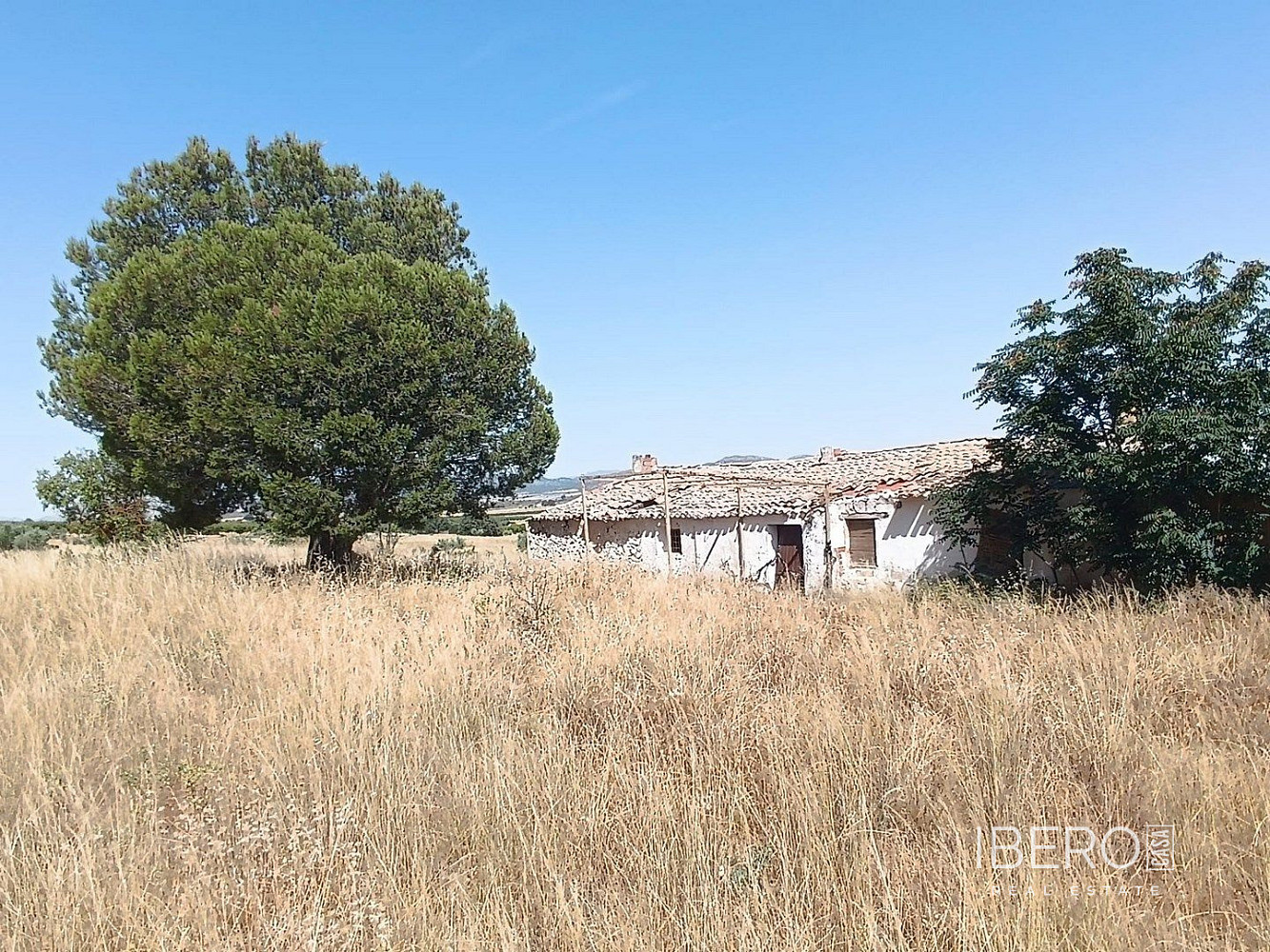 Prodej domu 185 m² s pozemkem 38 000 m²