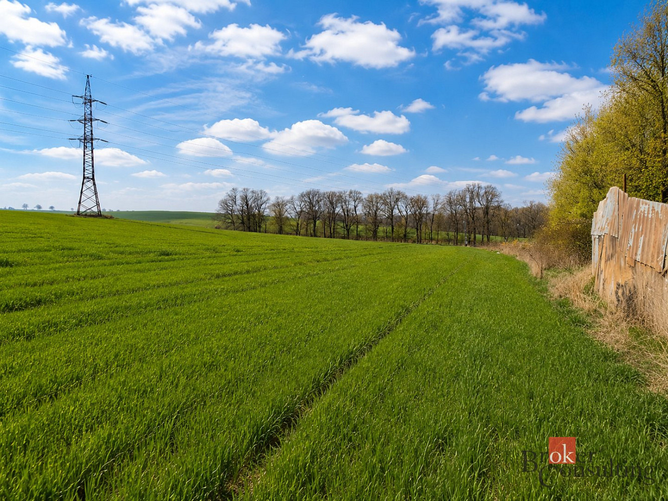Prodej pole 54 936 m² — photo 4