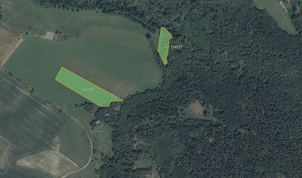 Prodej louky 36 497 m², Drhovy – náhled fotky 2