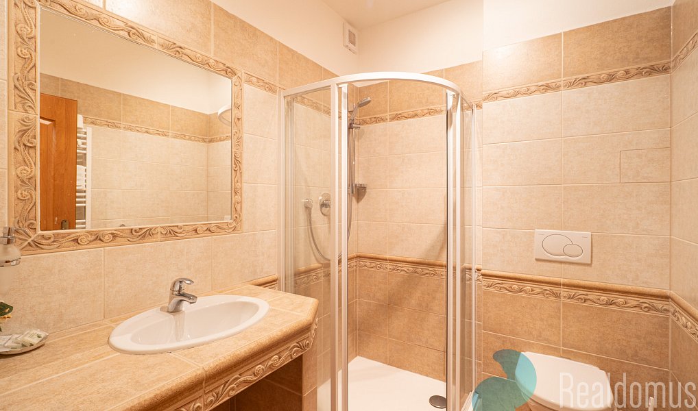 Prodej ubytovacího objektu 300 m², Třeboň – náhled fotky 13