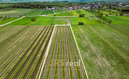 Prodej pole 3 474 m², Březí, okres Břeclav