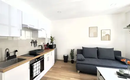 Pronájem bytu 1+kk 28 m², Mlýnská, Liberec - Liberec IV-Perštýn