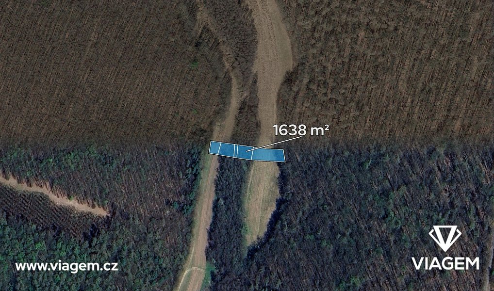 Prodej pole 546 m², Lovčice – náhled fotky 2