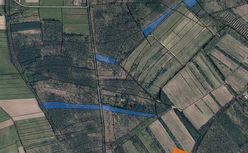 Prodej lesa 8 493 m², Černěves, okres Litoměřice