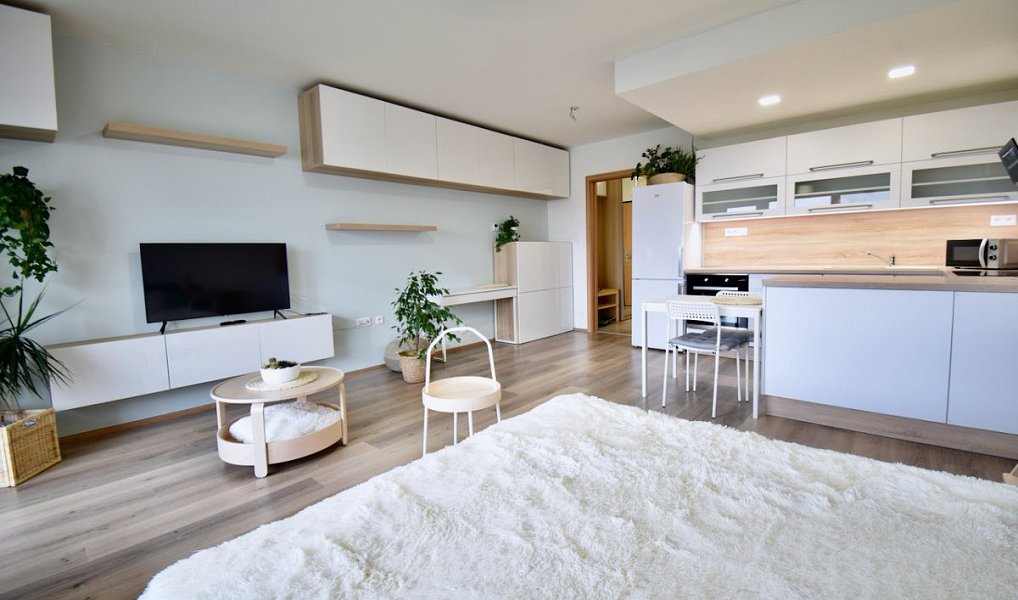 Pronájem bytu 1+kk 41 m², Olomouc – náhled fotky 4