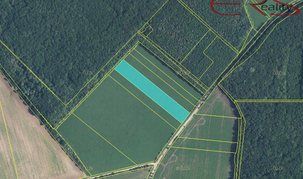 Prodej pole 18 591 m², Smidary – náhled fotky 4