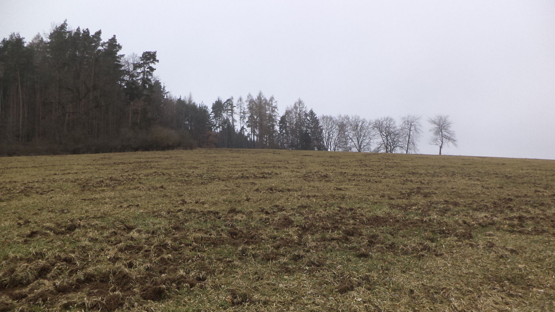 Prodej pole 9 983 m² – fotografie 2