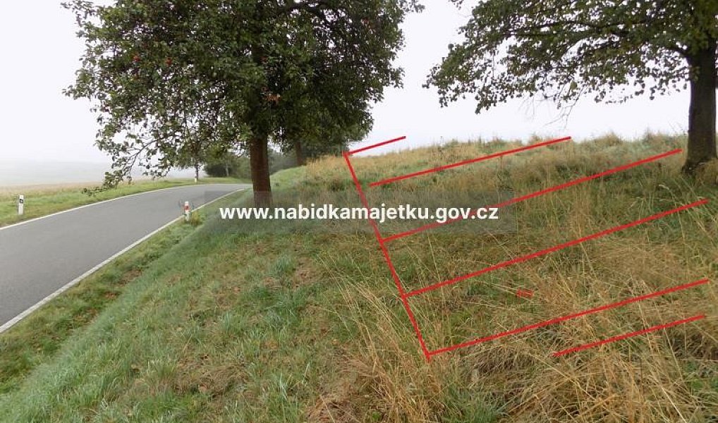 Prodej pozemku 1 917 m², Pláně – náhled fotky 2