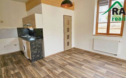 Pronájem bytu 1+kk 24 m², Rokycanova, Tachov