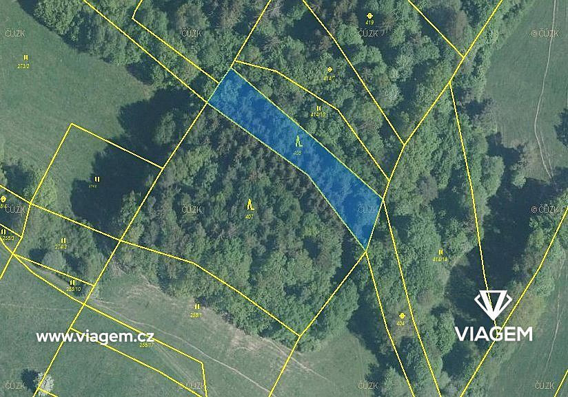 Prodej lesa 662 m² – fotografie 3