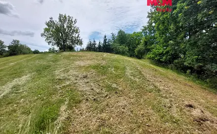 Prodej stavebního pozemku 2 790 m², Milešov, okres Příbram