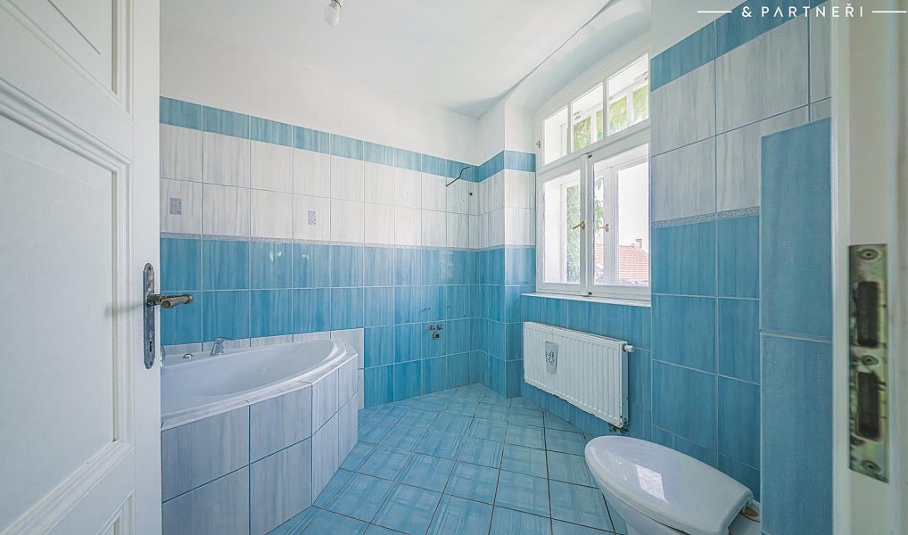 Prodej domu 300 m² s pozemkem 5 559 m², Hořice – náhled fotky 14