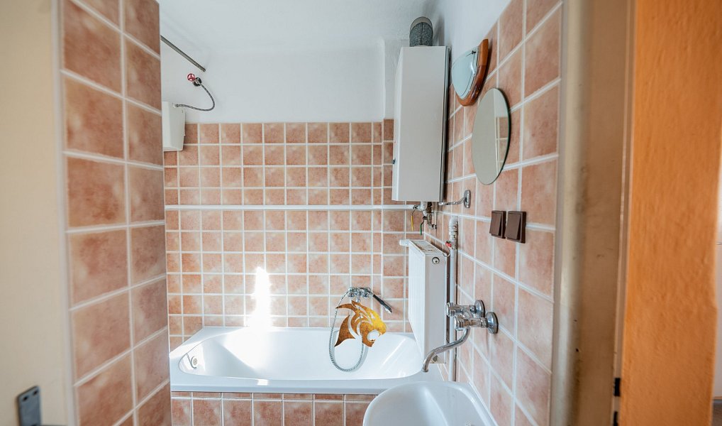 Prodej domu 170 m² s pozemkem 824 m², Sušice – náhled fotky 30