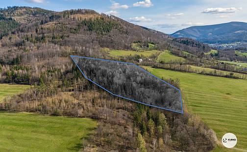 Prodej lesa 20 736 m², Vyšní Lhoty, okres Frýdek-Místek