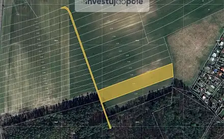 Prodej pole 2 901 m², Přelouč - Klenovka, okres Pardubice