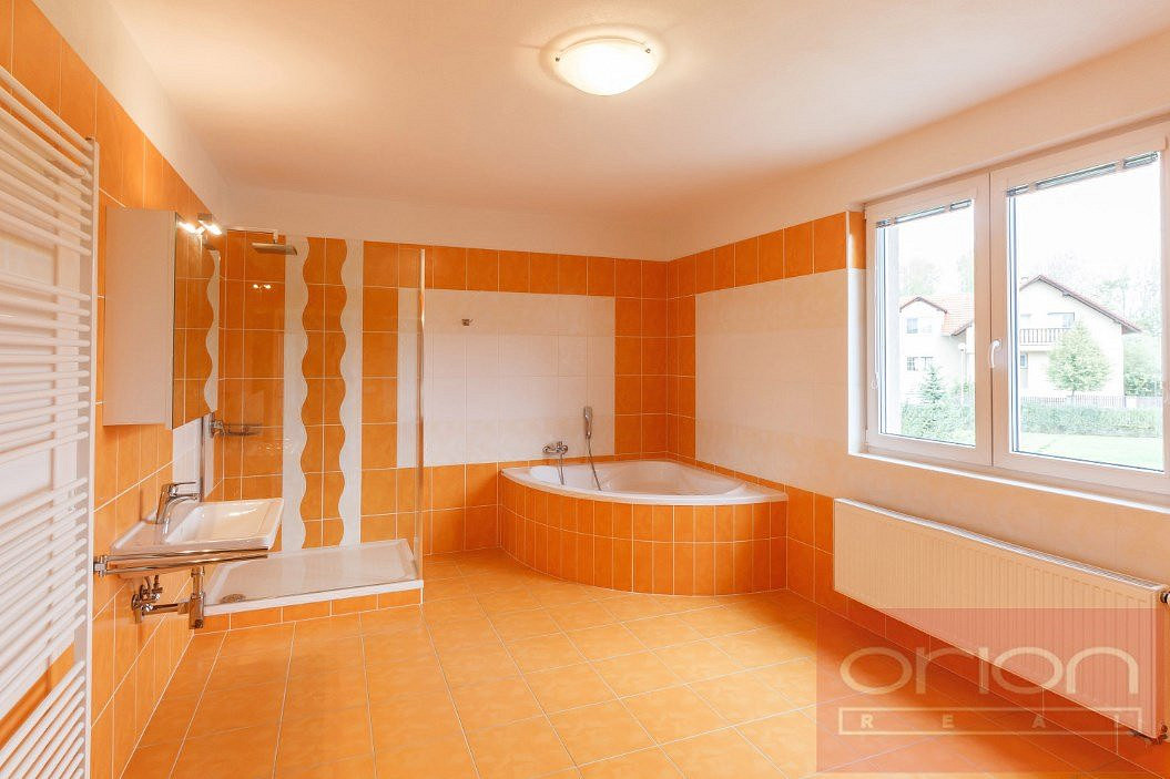 Pronájem domu 350 m² s pozemkem 800 m² — photo 4