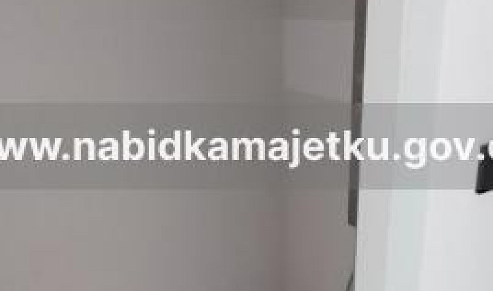 Prodej domu 767 m² s pozemkem 2 143 m², Drahňovice – náhled fotky 25