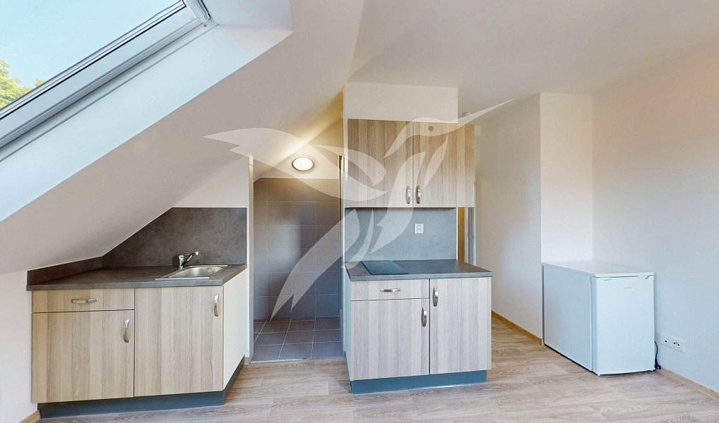 Pronájem bytu 1+kk 26 m², Šťáhlavy – fotka 1 z 12