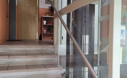 Prodej bytu 1+1 41 m², U Jeslí, Český Krumlov - Plešivec