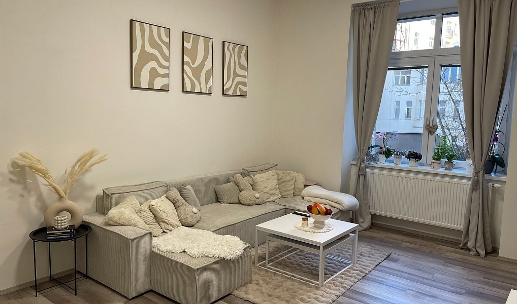 Prodej bytu 2+1 51 m², Brno – náhled fotky 8