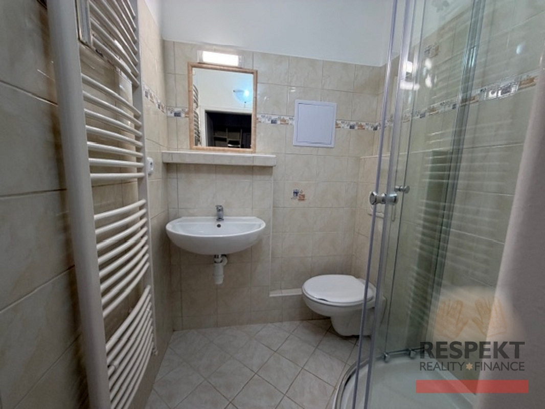Prodej bytu 1+1 29 m² — photo 5