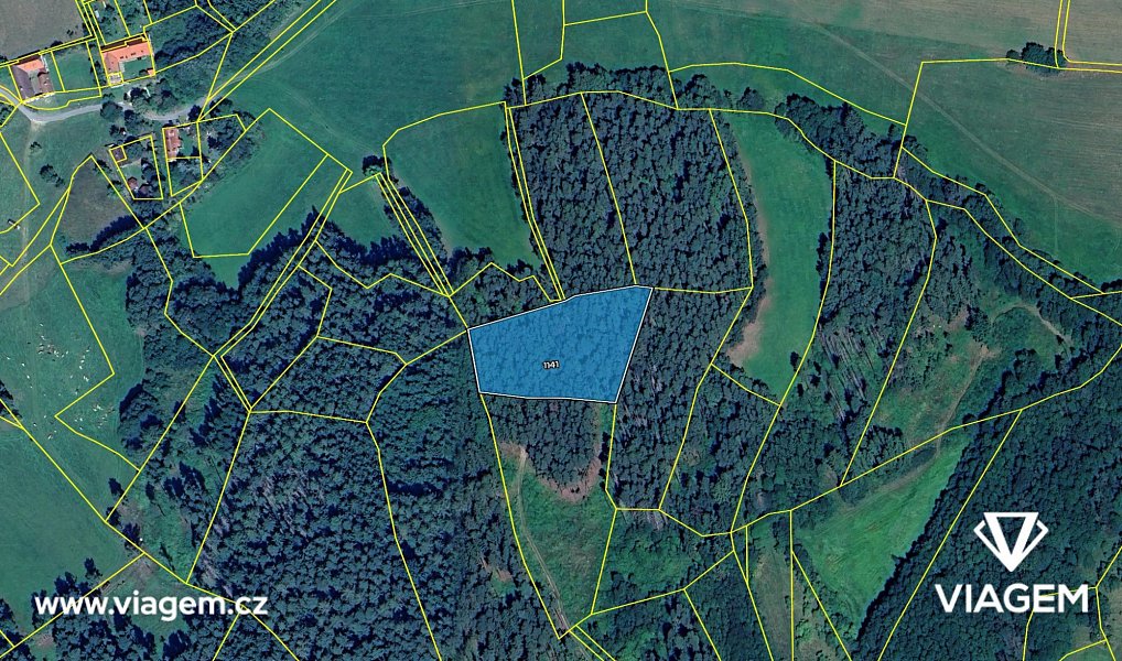 Prodej lesa 1 129 m², Volyně – náhled fotky 4