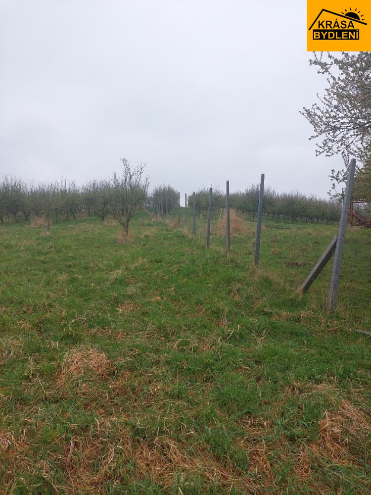 Prodej pozemku 9 766 m² — photo 4