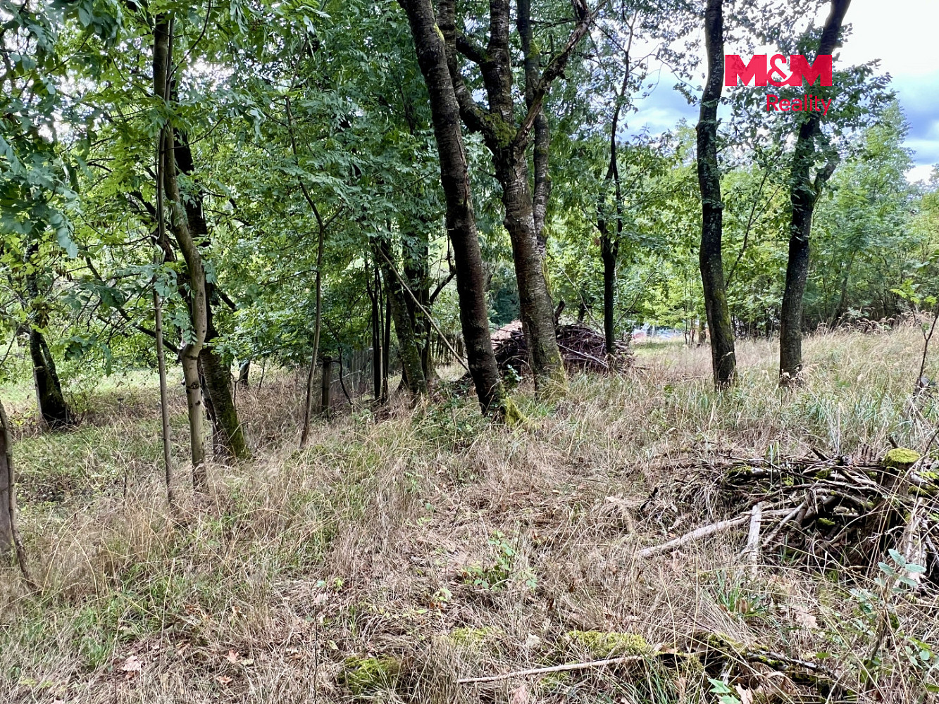 Prodej stavebního pozemku 2 037 m² – fotografie 5