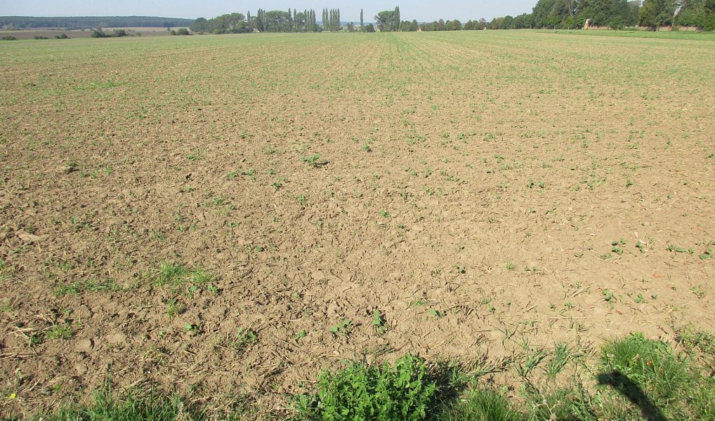 Prodej pole 7 913 m², Obecnice – náhled fotky 5