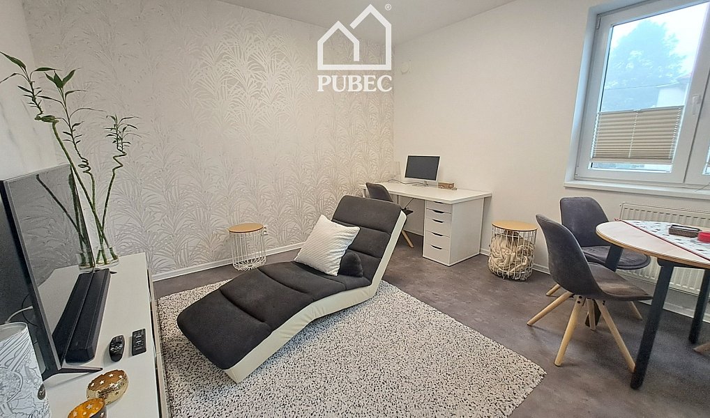 Pronájem bytu 2+kk 54 m², Plzeň – náhled fotky 4