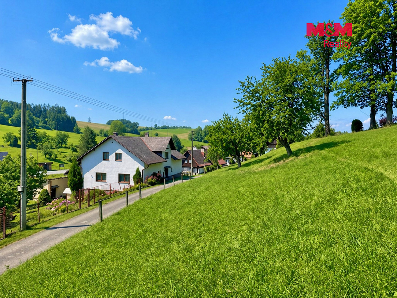 Fotka 10 z 12
