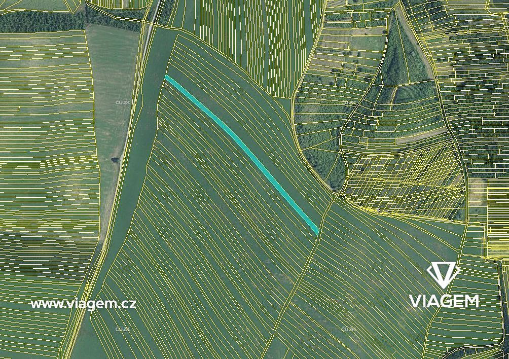 Prodej pole 1 045 m² – fotografie 5