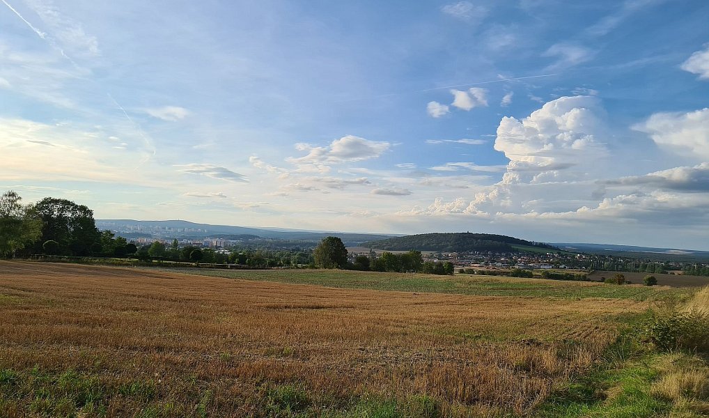 Prodej komerčního pozemku 22 239 m², Plzeň – náhled fotky 22
