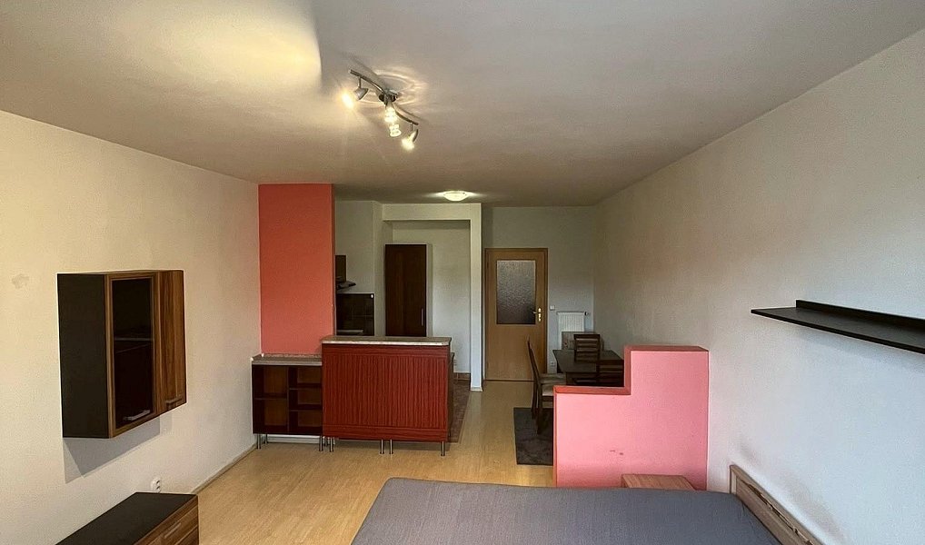 Pronájem bytu 1+kk 40 m², České Budějovice – náhled fotky 3