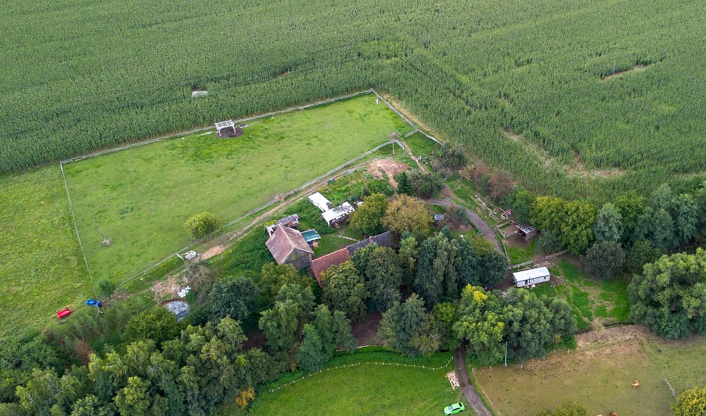 Prodej domu 60 m² s pozemkem 13 269 m², Litíč – náhled fotky 20