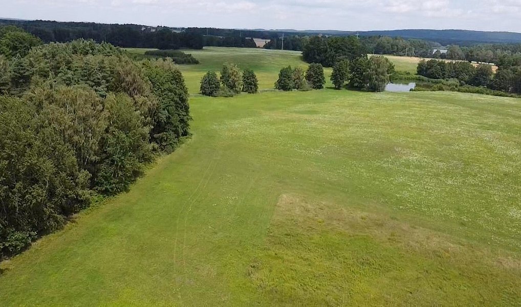 Prodej pole 130 000 m², Chlum u Třeboně – náhled fotky 8