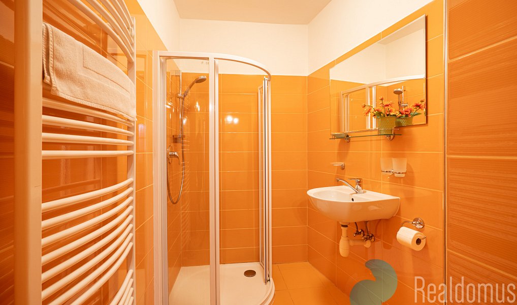 Prodej ubytovacího objektu 300 m², Třeboň – náhled fotky 21