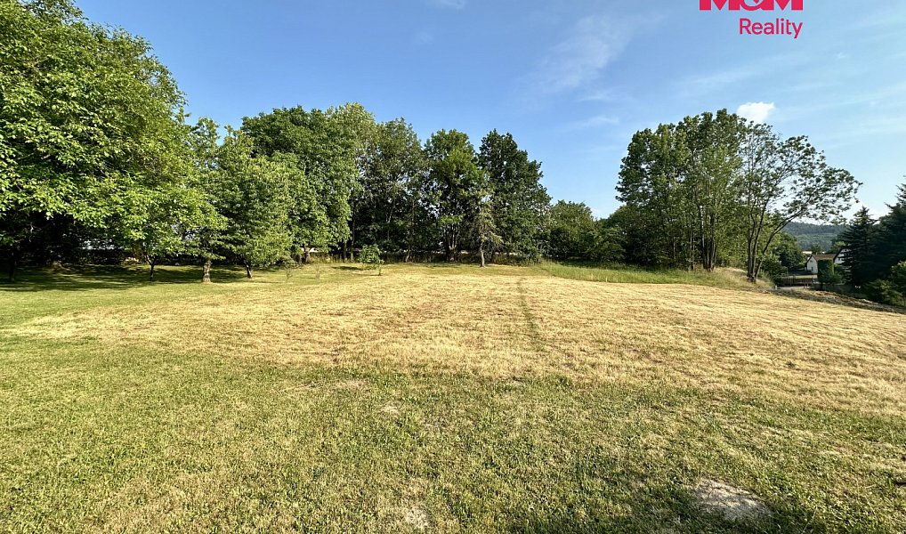 Prodej stavebního pozemku 2 996 m², Sedlec-Prčice – náhled fotky 4