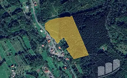 Prodej lesa 30 987 m², Huslenky, okres Vsetín