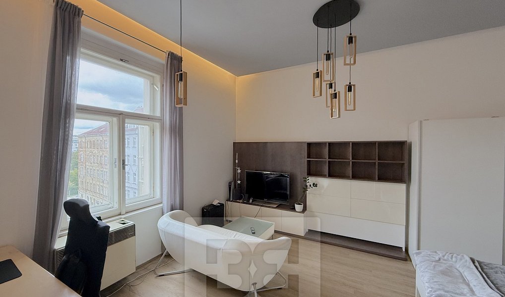 Pronájem bytu 1+1 40 m², Praha – náhled fotky 5