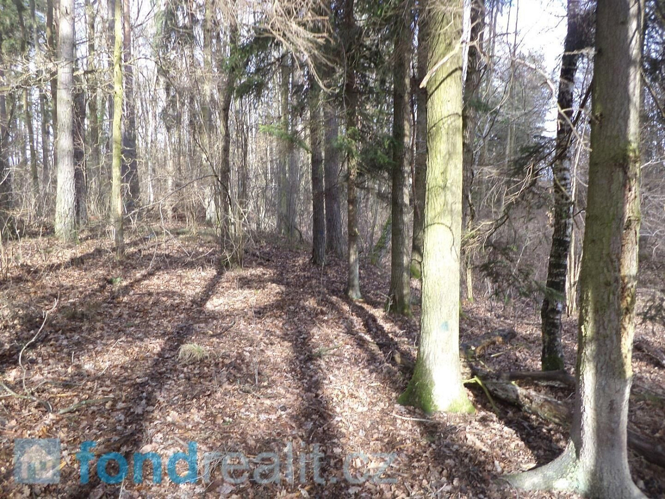 Prodej pozemku 15 643 m² – fotografie 3