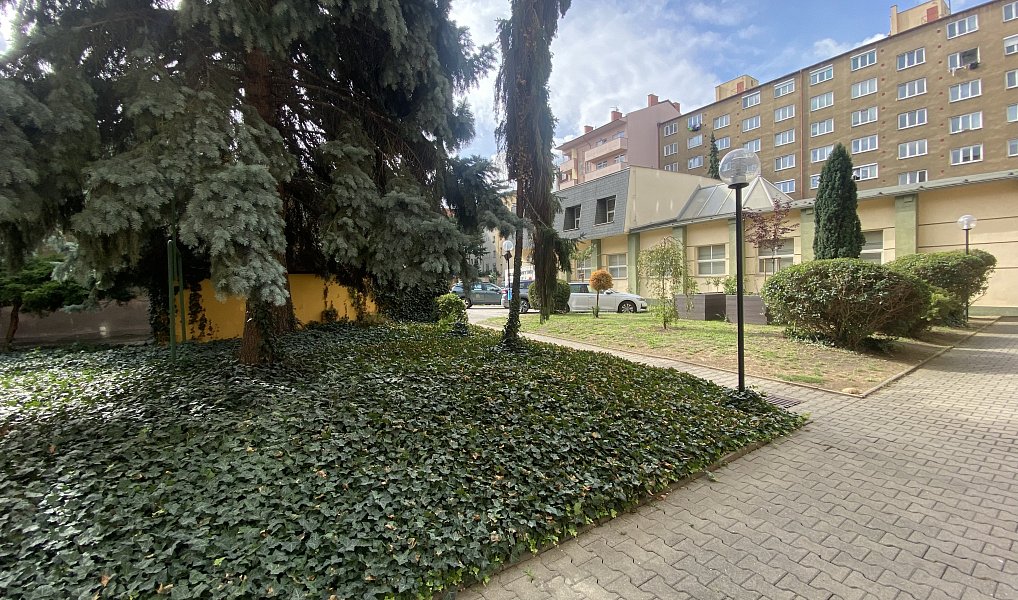 Prodej bytu 2+1 51 m², Praha – náhled fotky 16