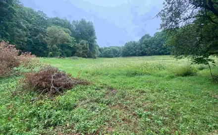 Dražba louky 1 500 m², Úterý