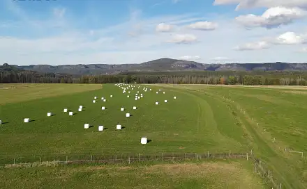 Prodej pole 62 025 m², Labská Stráň, okres Děčín