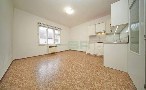 Pronájem bytu 1+kk 25 m², Brtnická, Praha 10 - Michle
