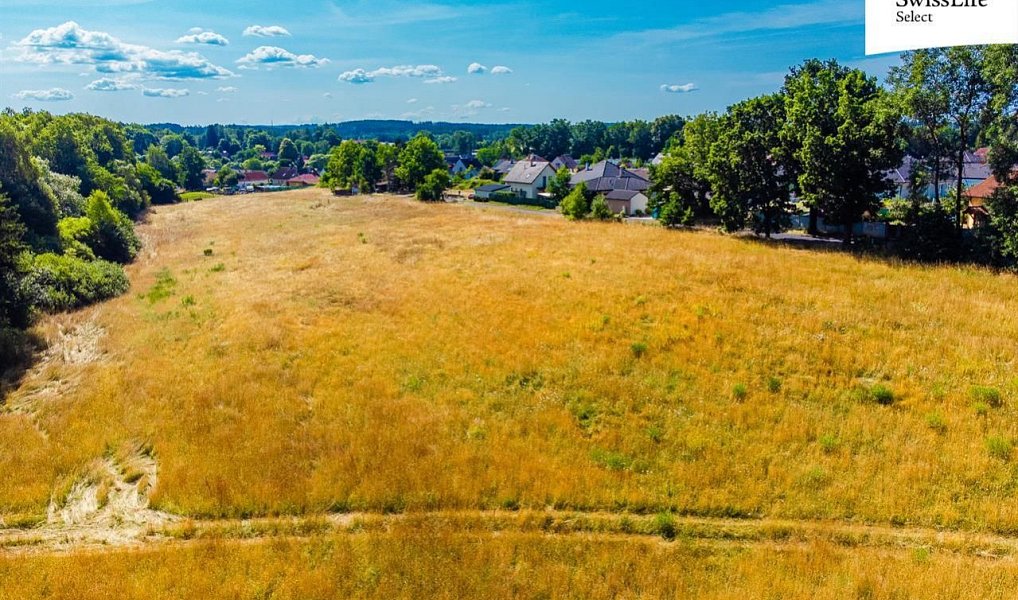 Prodej komerčního pozemku 11 001 m², Rodvínov – náhled fotky 2
