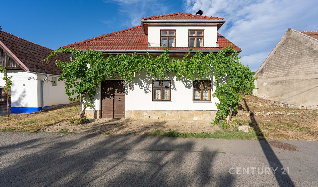 Vinný sklep 83m2, pozemky 8.420m2, Blatnice pod Svatým Antonínkem, Blatnice pod Svatým Antonínkem – náhled fotky 2