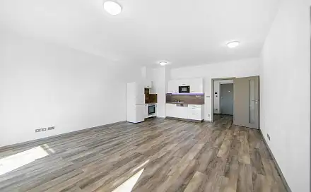 Pronájem bytu 2+kk 58 m², Bolevecká, Plzeň - Severní Předměstí